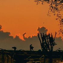 Mi proyecto del curso: Composición y edición fotográfica para Instagram. Un proyecto de Fotografía, Redes Sociales, Fotografía con móviles, Instagram, Fotografía para Instagram y Composición fotográfica de José Ricardo Lara Velázquez - 22.11.2023