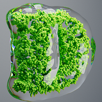 Mi proyecto del curso: Lettering 3D animado con X-Particles. Motion Graphics, 3D, Animation, Photograph, Post-production, T, pograph, 3D Animation, and 3D Lettering project by javoacr - 11.20.2023
