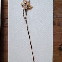 Mi proyecto del curso: Técnicas básicas de prensado botánico. Un proyecto de Artesanía, Bellas Artes, Collage, DIY, Diseño floral y vegetal de Diana AB - 23.11.2023