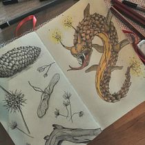 Mein Abschlussprojekt für den Kurs: Fantastisches Natur-Skizzenbuch: Kreaturen aus einer anderen Welt. Pencil Drawing, Drawing, Sketchbook, Naturalistic Illustration, and Watercolor Painting project by Sophia Z - 11.24.2023