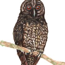 Mi proyecto del curso: Ilustración naturalista de aves con acuarela. Ilustração tradicional, Pintura em aquarela, Desenho realista e Ilustração naturalista projeto de Logan Moreno - 25.11.2023