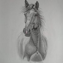 Il mio progetto del corso: Immagini realistiche della fauna in matita grafite. Fine Arts, Pencil Drawing, Drawing, Realistic Drawing, and Naturalistic Illustration project by Claudia Foroni - 11.27.2023