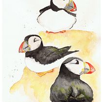 Acuarela artística para ilustración de aves. Traditional illustration, Watercolor Painting, Realistic Drawing, and Naturalistic Illustration project by ya.sandoval - 11.27.2023