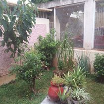 Mi proyecto del curso: Jardin Nave. L, scape Architecture, Floral, Plant Design, and Spatial Design project by Nayla Hernandez - 11.28.2023