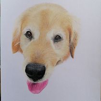 Mi proyecto del curso: Retratos de Mascotas en Lápices de Colores. Traditional illustration, and Naturalistic Illustration project by Natalia Vejar - 11.30.2023