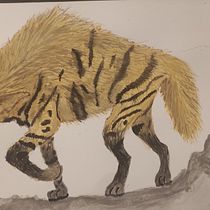 My project for course: Scientific Illustration of Animals in Watercolor : Hyaena Hyaena. Traditional illustration, Watercolor Painting, Realistic Drawing, and Naturalistic Illustration project by Huzeyfe Alışkan - 10.30.2023