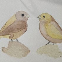 Meu projeto do curso: Sketching criativo para iniciantes em aquarela. Traditional illustration, Sketching, Creativit, Drawing, Watercolor Painting, and Sketchbook project by dany cavallari - 11.29.2023