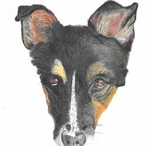 Mon projet du cours : Portraits d'animaux de compagnie aux crayons de couleur. Traditional illustration, and Naturalistic Illustration project by e_veyronlacroix_psycho - 12.01.2023