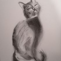 Sieste au soleil . Fine Arts, Drawing, Portrait Drawing, and Naturalistic Illustration project by fabienne - 12.02.2023