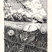 My project for course: Dip Pen and Ink Illustration: Capturing The Natural World. Projekt z dziedziny Sketching,  R, sunek,  R, sunek art, st, czn,  R, sunek atramentem, Ilustracja naturalist i czna użytkownika Davide Santarsiere - 03.12.2023