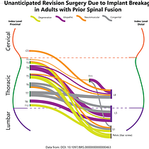 Tracking spinal revision surgery. Un progetto di Graphic design, Design dell’informazione e Infografica di emmacc21 - 04.12.2023