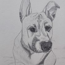 Mi proyecto del curso: Retrato realista con lápiz de grafito. Un progetto di Illustrazione tradizionale, Belle arti, Bozzetti, Disegno a matita, Disegno, Disegno di ritratti e Disegno realistico di mariagpepr828 - 03.12.2023