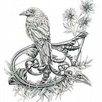 Il mio progetto del corso: Illustrazione naturalistica a penna. Traditional illustration, Drawing, Realistic Drawing, and Naturalistic Illustration project by Federica Usai - 12.05.2023