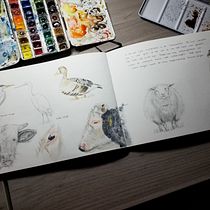 My project for course: Illustrated Travel Sketchbook: Recording Nature. Un proyecto de Dibujo a lápiz, Dibujo, Pintura a la acuarela, Ilustración naturalista				 y Sketchbook de Ivonne Wierink - 05.12.2023