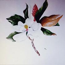 Mi proyecto del curso: Ilustración botánica con acuarela. Traditional illustration, Fine Arts, Painting, Drawing, Watercolor Painting, and Botanical Illustration project by Concepción Gallardo Florido - 12.05.2023