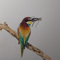 My project for course: Artistic Watercolor Techniques for Illustrating Birds. Traditional illustration, Watercolor Painting, Realistic Drawing, and Naturalistic Illustration project by Nadia Nella Fleming - 12.08.2023