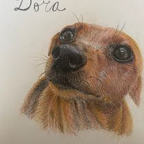 Mi proyecto del curso: Retratos de Mascotas en Lápices de Colores. Traditional illustration, and Naturalistic Illustration project by francisca_buonocore - 12.02.2023