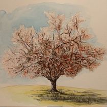 Il mio progetto del corso: Pittura ad acquerello: esplora le tecniche del pennello asciutto. Fine Arts, Painting, Drawing, Watercolor Painting, Botanical Illustration, and Naturalistic Illustration project by Claudia Foroni - 12.10.2023