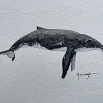 Mi proyecto del curso: Técnicas de ilustración naturalista: ballenas en acuarela. Un progetto di Belle arti, Pittura, Pittura ad acquerello e Illustrazione naturalistica di narango_1 - 08.12.2023