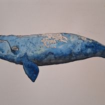 My project for course: Naturalist Illustration Techniques: Whales in Watercolor. Un progetto di Belle arti, Pittura, Pittura ad acquerello e Illustrazione naturalistica di Monika Swanepoel - 11.12.2023