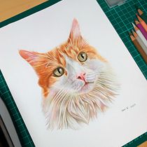 Mi proyecto del curso: Retratos de Mascotas en Lápices de Colores. Traditional illustration, and Naturalistic Illustration project by drios278 - 12.14.2023