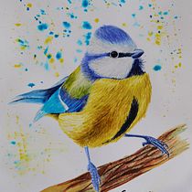 My project for course: Artistic Watercolor Techniques for Illustrating Birds. Traditional illustration, Watercolor Painting, Realistic Drawing, and Naturalistic Illustration project by Dorottya Molnár - 12.14.2023