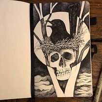 My project for course: Realistic Illustration of Birds with Imaginative Elements. Pencil Drawing, Drawing, Ink Illustration, and Naturalistic Illustration project by Natalia Turkiewicz - 12.17.2023