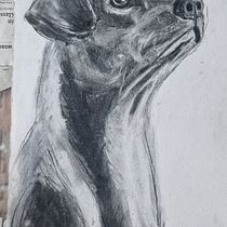 Mein Abschlussprojekt für den Kurs: Tiere zeichnen mit Kohle und Tusche. Fine Arts, Drawing, Ink Illustration, and Naturalistic Illustration project by ladykracher77 - 12.17.2023