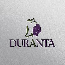 Mi proyecto del curso: Creación de un logotipo original desde cero. Un projet de Design , Br, ing et identité, Design graphique , et Création de logos de Xiomara Hernández Ramírez - 16.12.2023