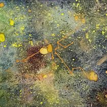 Mi proyecto del curso: Técnicas modernas de acuarela. Un progetto di Illustrazione tradizionale, Belle arti, Pittura e Pittura ad acquerello di Laia Medina Heras - 21.12.2023