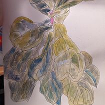My project for course: Botanical Sketchbooking: A Meditative Approach Ein Projekt aus dem Bereich Traditionelle Illustration, Skizzenentwurf, Zeichnung, Aquarellmalerei, Botanische Illustration und Sketchbook von Alina Floroi - 21.12.2023