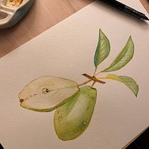 My project for course: Realistic Botanical Illustration: Escape to Nature. Painting, Watercolor Painting, Botanical Illustration, and Naturalistic Illustration project by Khushboo Kakkar - 12.22.2023