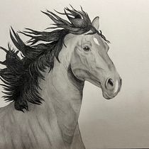 Meu projeto do curso: Imagens realistas de vida selvagem a lápis de grafite. Fine Arts, Pencil Drawing, Drawing, Realistic Drawing, and Naturalistic Illustration project by alezinha_lemos - 12.21.2023