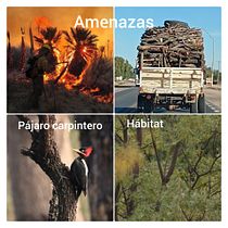 Mi proyecto del curso: Fotografía profesional para Instagram. Een project van  Reclame, Fotografie, Marketing, Social media, Mobiele fotografie, Productfotografie, Mobiele marketing, Instagram, Fotografie voor Instagram, Lifest y le fotografie van Graciela Vega - 26.12.2023