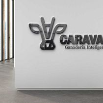 Mi proyecto del curso: Creación de un logotipo original desde cero. Un projet de Design , Br, ing et identité, Design graphique , et Création de logos de Rafa Storni - 27.12.2023