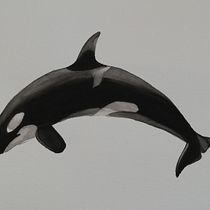 My project for course: Naturalist Illustration Techniques: Whales in Watercolor. Un progetto di Belle arti, Pittura, Pittura ad acquerello e Illustrazione naturalistica di Linda Doubravová - 27.12.2023