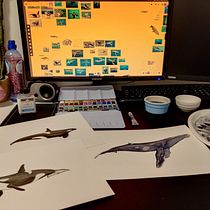 Mijn project van de cursus: Naturalistische illustratietechnieken: walvissen in aquarel. Un progetto di Pittura ad acquerello e Illustrazione naturalistica di yvonne_kolen - 27.12.2023
