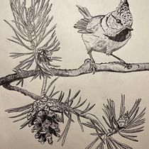 My project for course: Naturalist Illustration with Ballpoint Pen . Traditional illustration, Drawing, Realistic Drawing, and Naturalistic Illustration project by jennie_sornell - 12.28.2023