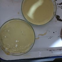 Mi proyecto del curso: Biomateriales: Creacion de bio materiales con colao o chuño de papas.. Un projet de Artisanat , et DIY de Franklin Osses Suazo - 21.01.2024