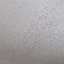 Mijn project van de cursus: Aquarel van realistische dieren in het wild. Een project van  Beeldende kunst, Schilderij, Aquarelschilderen y Naturalistische illustratie van Lia van Nieuwenhuijzen - 15.01.2024