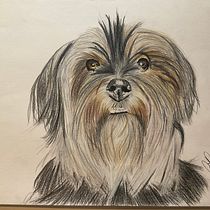 Mon projet du cours : Portraits d'animaux de compagnie aux crayons de couleur. Traditional illustration, and Naturalistic Illustration project by Catherine Tremblay - 12.29.2023
