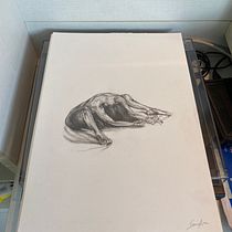Meu projeto do curso: Desenho do corpo humano em movimento Ein Projekt aus dem Bereich Bildende Künste, Skizzenentwurf, Bleistiftzeichnung, Zeichnung und Realistische Zeichnung von Alice Scocuglia - 29.12.2023