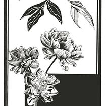Il mio progetto del corso: Illustrazione botanica contemporanea a inchiostro. Un projet de Illustration traditionnelle, Dessin artistique, Illustration botanique et Illustration à l'encre de Giorgia Migli - 30.12.2023