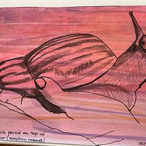 My project for course: Illustrating Nature: A Creative Exploration. Traditional illustration, Painting, Drawing, Watercolor Painting, Ink Illustration, and Naturalistic Illustration project by Sharon Tayfield - 12.31.2023