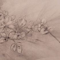 Mein Abschlussprojekt für den Kurs: Ausdrucksstarkes Zeichnen mit Holzkohle. Fine Arts, Drawing, Portrait Drawing, and Naturalistic Illustration project by Esther Keller - 12.31.2023