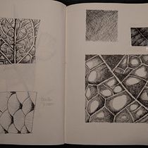 Mon projet du cours : Illustration surréaliste au feutre fin. Ilustração tradicional, Desenho a lápis, Desenho, Desenho realista, Desenho artístico e Ilustração com tinta projeto de Amandine Rinsoz - 01.01.2024