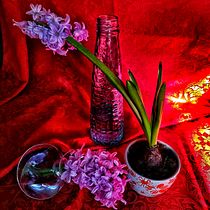 Mi proyecto del curso: Fotografía de bodegón botánico. Product Photograph, Fine-Art Photograph, Lifest, and le Photograph project by lilianabmalant_1 - 01.02.2024