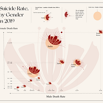 Data Visualization and Information Design: Create a Visual Model (Suicide Rate in 2019). Design de informação, Design interativo e Infografia projeto de urcdaru - 02.01.2024
