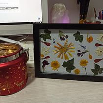Mi proyecto del curso: Técnicas básicas de prensado botánico. Un proyecto de Artesanía, Bellas Artes, Collage, DIY, Diseño floral y vegetal de Didier Gaviria - 01.01.2024