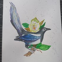Mój projekt z kursu: Techniki artystycznego malowania ptaków akwarelami. Traditional illustration, Watercolor Painting, Realistic Drawing, and Naturalistic Illustration project by Wojciech Wójcik - 01.03.2024